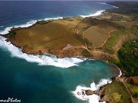 16700440 1806118763046480 678248208559027723 o