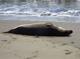 16601800 1801215933536763 4309383586444004685 o