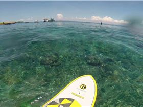 Last week, waiting for Lacerations to start working.