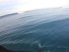 Frame-24-03-2017-12-05-05