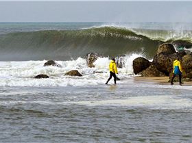 17349982 1273749542739689 4033499821733507522 o