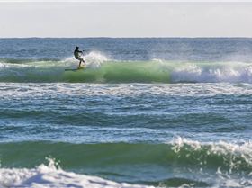 F-one stand up paddle Sup Foil