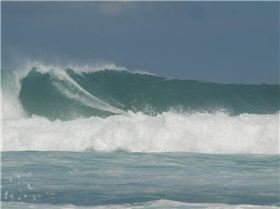 How good does the yellow baby bomb look on a wave?