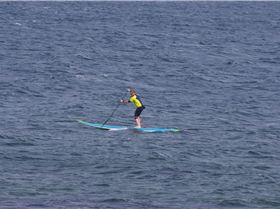 Stand Up Paddle