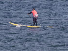 Stand Up Paddle