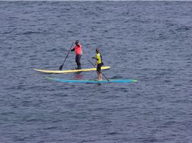 Stand Up Paddle