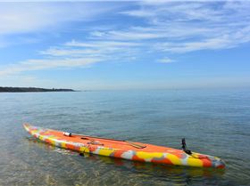 Stand Up Paddle