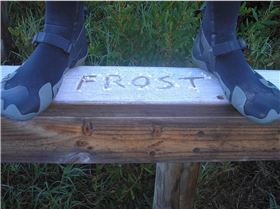 FROST BOOTIES