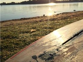 The logo my wife designed