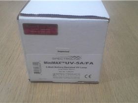 WIN 20170629 19 35 46 Pro