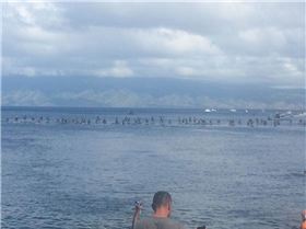 20046523 2070128079680161 4079977250329437097 n