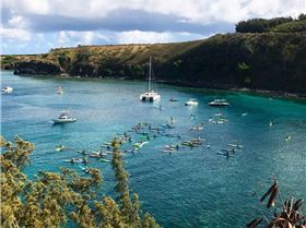 19989460 10155561519458809 252359287600802249 n