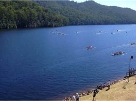 Aust MSters Games 2017