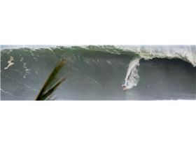 Screenshot 2017-08-01 06.34.04