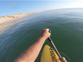 Stand Up Paddle