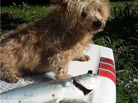 20882244 10155690314739312 4730130759070543840 n