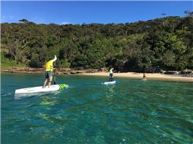 Stand Up Paddle