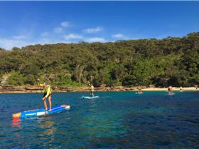 Stand Up Paddle