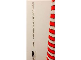 21534631 918547528300778 2128687858 o