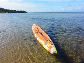 Stand Up Paddle