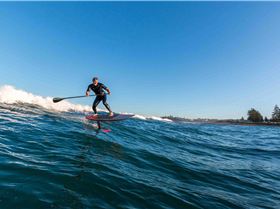 19620374 1490931974279354 1031770068285340103 o