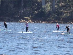 Stand Up Paddle