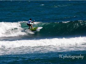 21083004 847630268737961 4222307232410679255 o