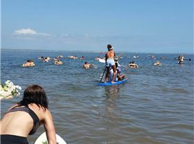 Stand Up Paddle