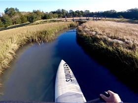 Stand Up Paddle
