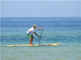 Stand Up Paddle