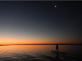 Stand Up Paddle