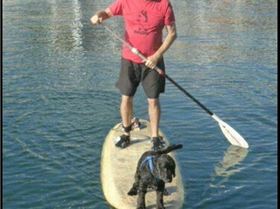 Board to SUP with Pup