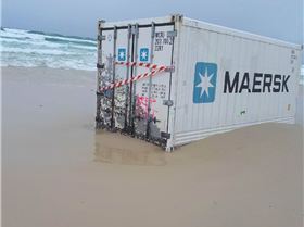 28954095 10156270464394669 4948103697559769646 o