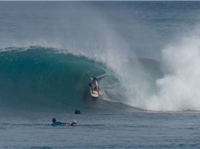 28827991 10214223920784435 1842842214617780189 o