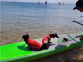 Supping for a great cause