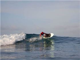 FB IMG 1526075685099