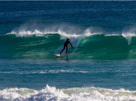 Paddle yesterday morning