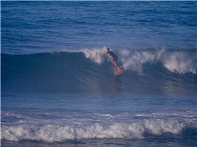 Waits April 2018.jpg1