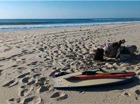 Sup surfing and fishing