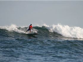 10'  Style an 8'10 STEEZE