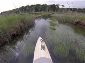 Stand Up Paddle