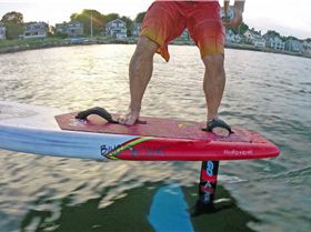 2018 08 14 No Tail No Problem 20 Front Foot2