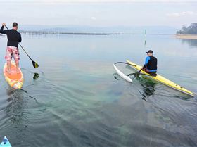 Stand Up Paddle