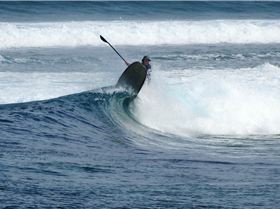 Stand Up Paddle