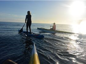 Stand Up Paddle