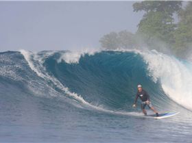 11102872 773549582758860 2734515428227222781 o