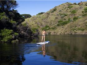 FLATWATER STAND UP PADDLE