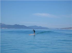 Dave catches a smaller one to warm up.