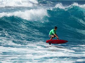 47213052 2330173977053573 7533500932152098816 o