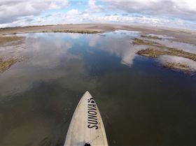 Stand Up Paddle